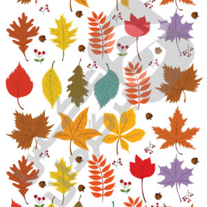 برگ پائیزی کد محصول 3089