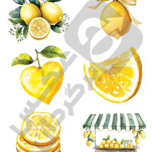 تابستان خنک کد محصول 3437